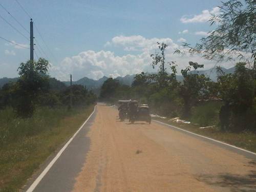 IMG08375-20140513-1408