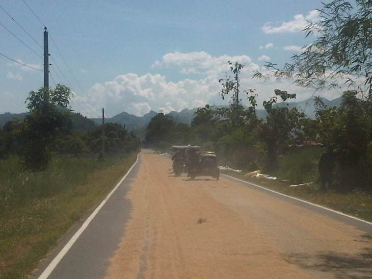 IMG08375-20140513-1408