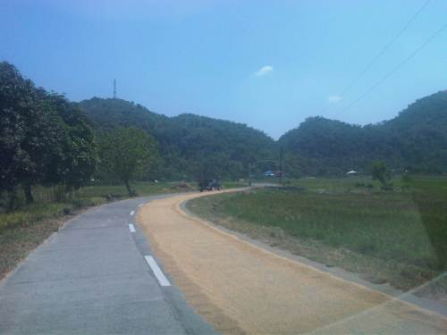 IMG08474-20140520-1015