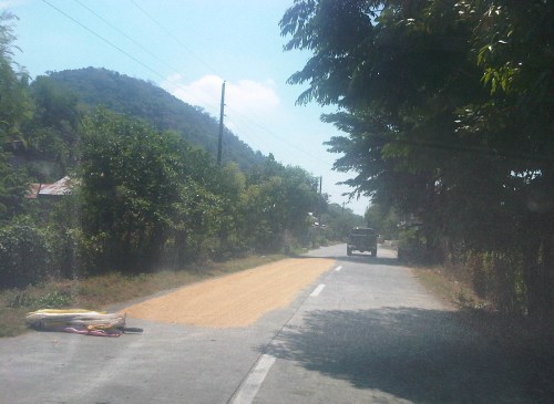 IMG08476-20140520-1015