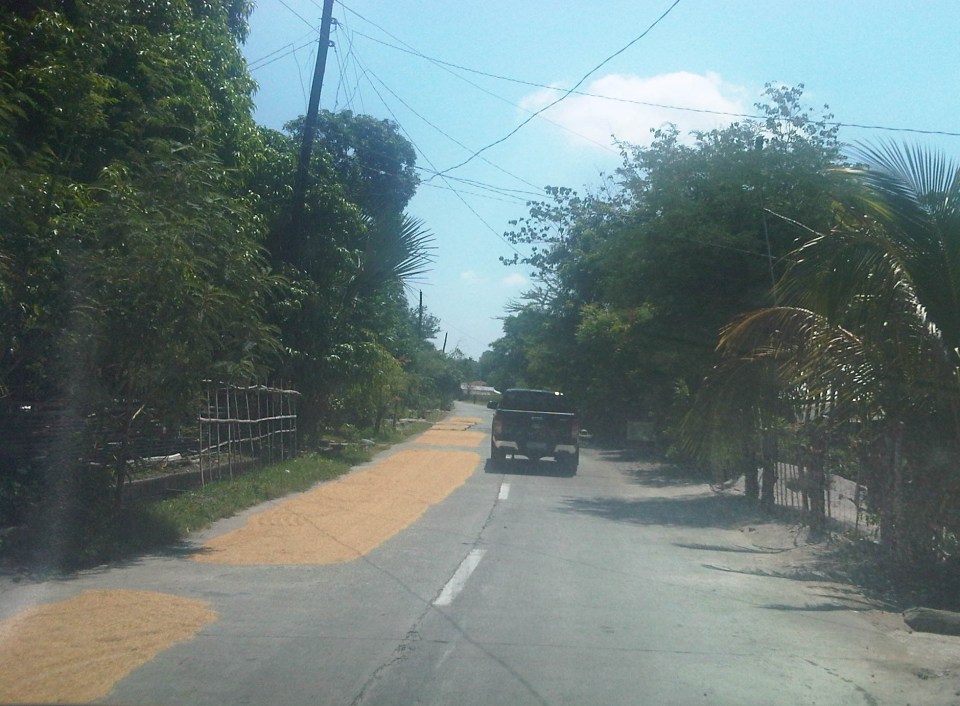 IMG08478-20140520-1017