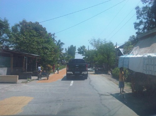 IMG08479-20140520-1017