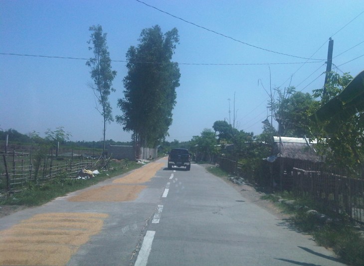 IMG08480-20140520-1017