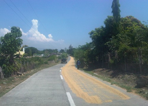 IMG08484-20140520-1020