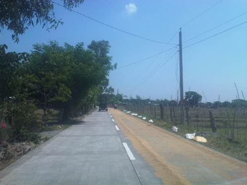 IMG08486-20140520-1021