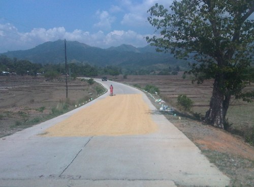 IMG08523-20140520-1034