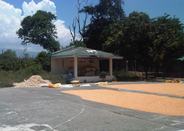 IMG08548-20140520-1109