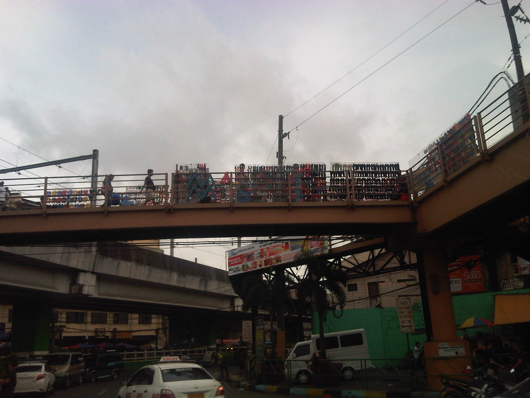 IMG08788-20140610-1649