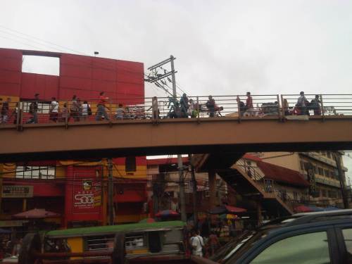 IMG08790-20140610-1649