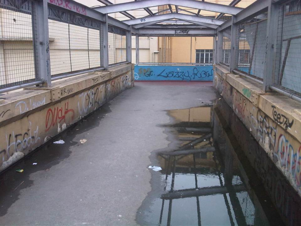 IMG08947-20140721-1421