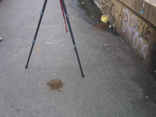 IMG08954-20140721-1433