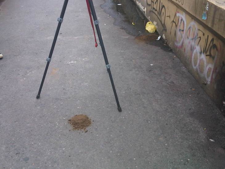 IMG08954-20140721-1433