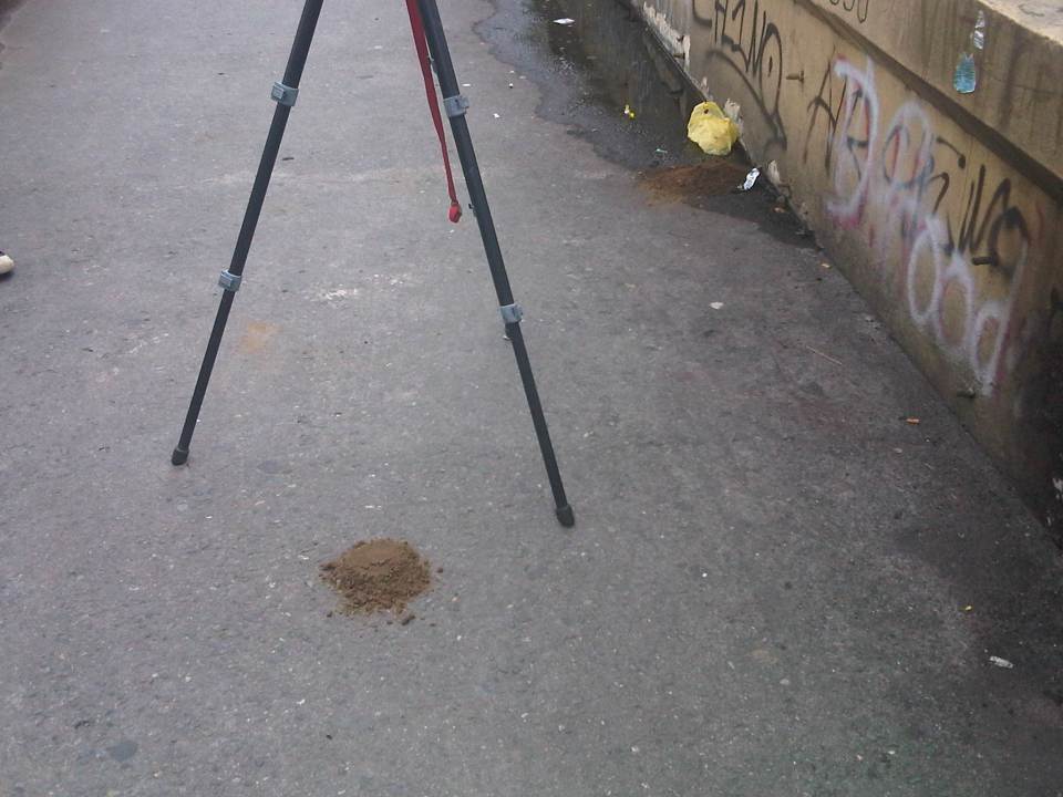 IMG08954-20140721-1433