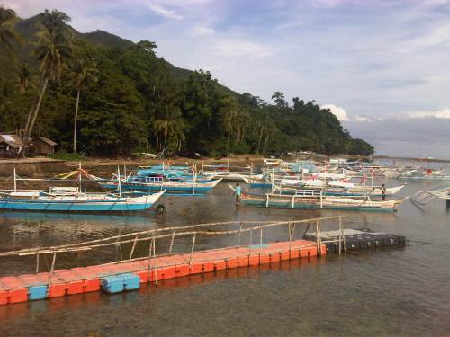 IMG09429-20140927-0831