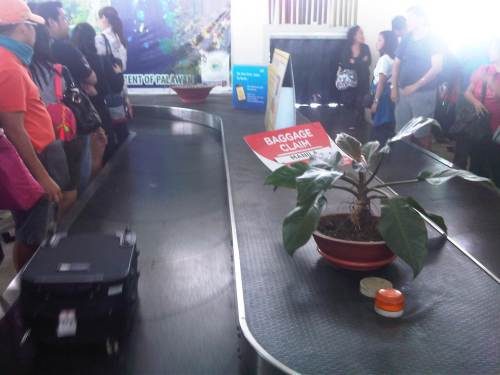 IMG09355-20140925-1316