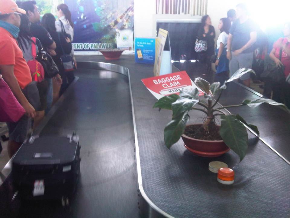 IMG09355-20140925-1316