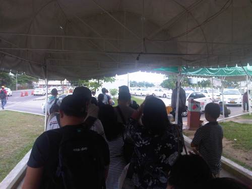 IMG09953-20150109-1500