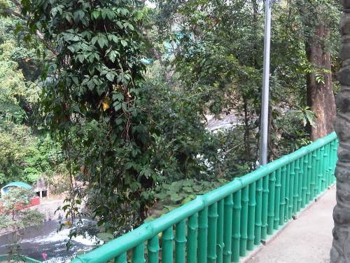 IMG10130-20150214-1338