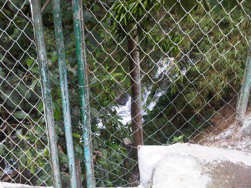 IMG10135-20150214-1341