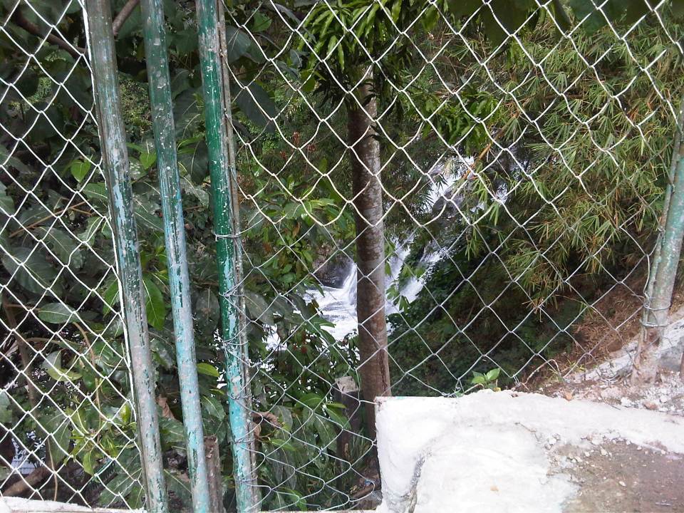 IMG10135-20150214-1341