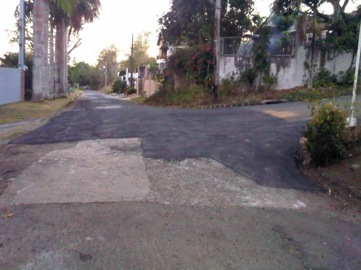 IMG10520-20150403-1815