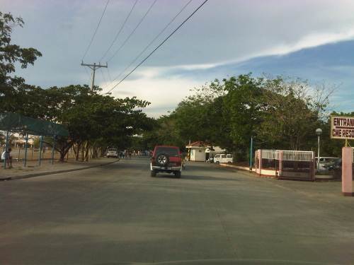 IMG10626-20150419-1626