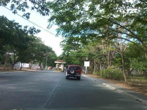 IMG10629-20150419-1627