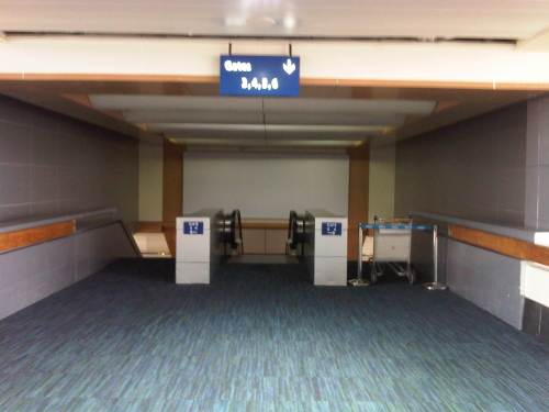 IMG10861-20150503-0730