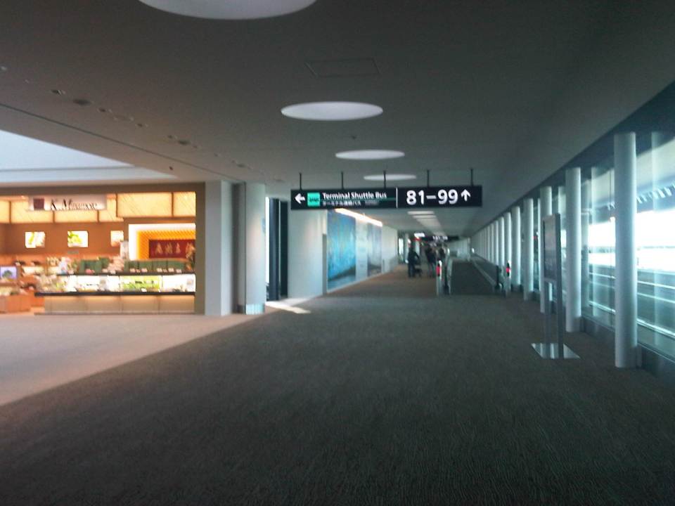 IMG10875-20150503-1533