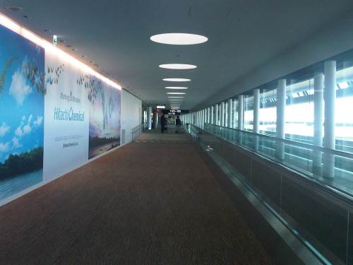 IMG10876-20150503-1533