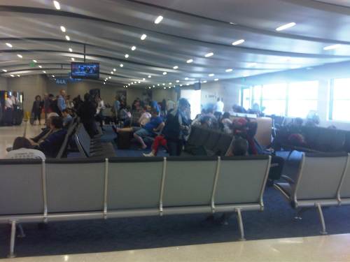 IMG11211-20150508-1224