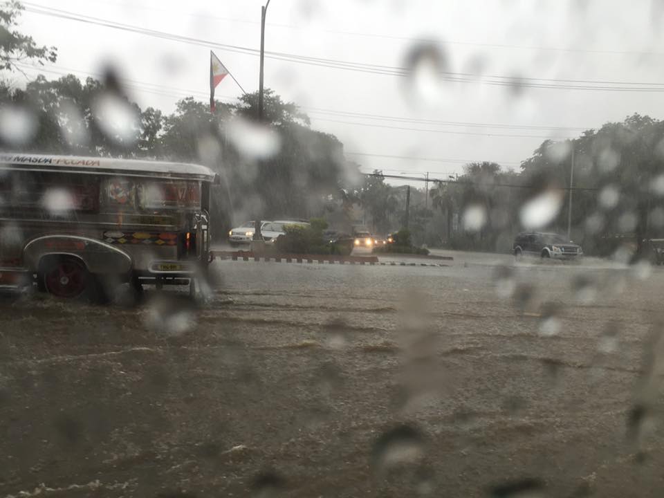 11390210_10152810738321805_9043366778214047404_n