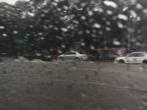 11391604_10152810738141805_4776796639676842585_n