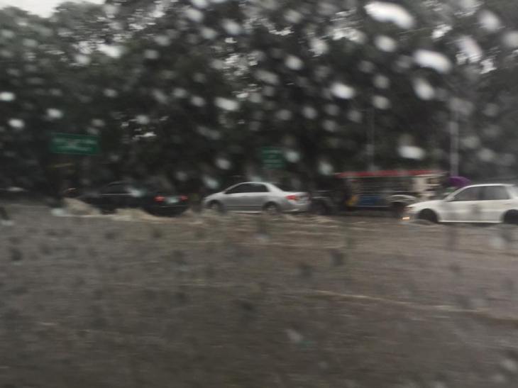 11391604_10152810738141805_4776796639676842585_n