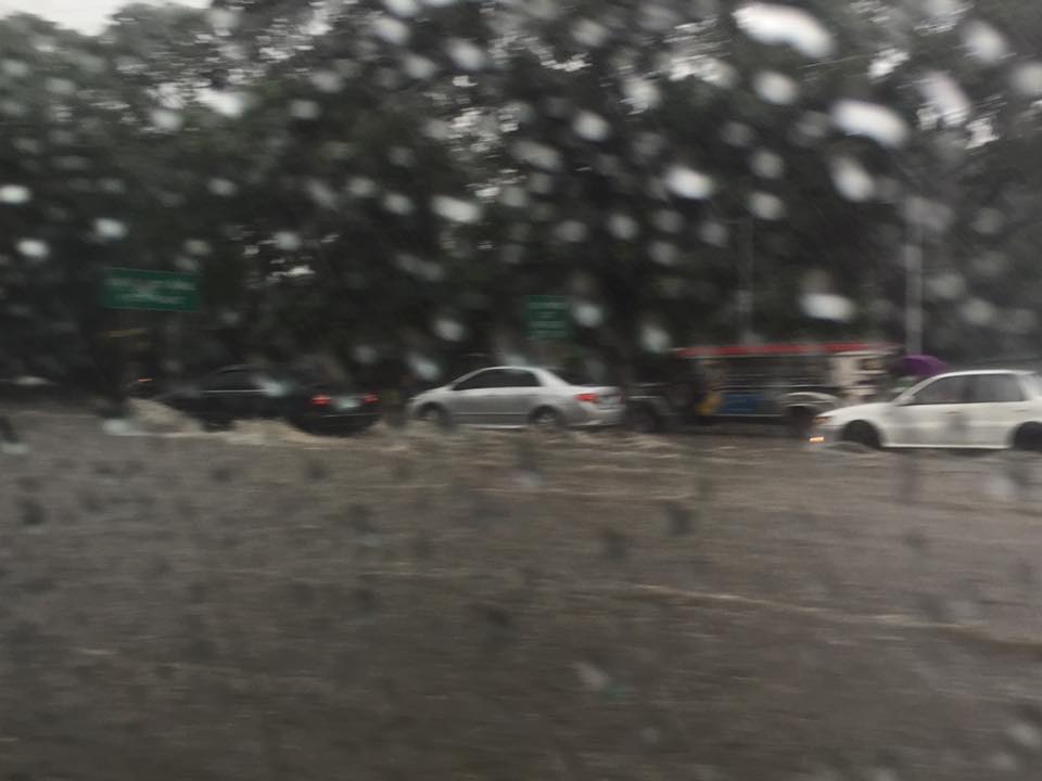 11391604_10152810738141805_4776796639676842585_n